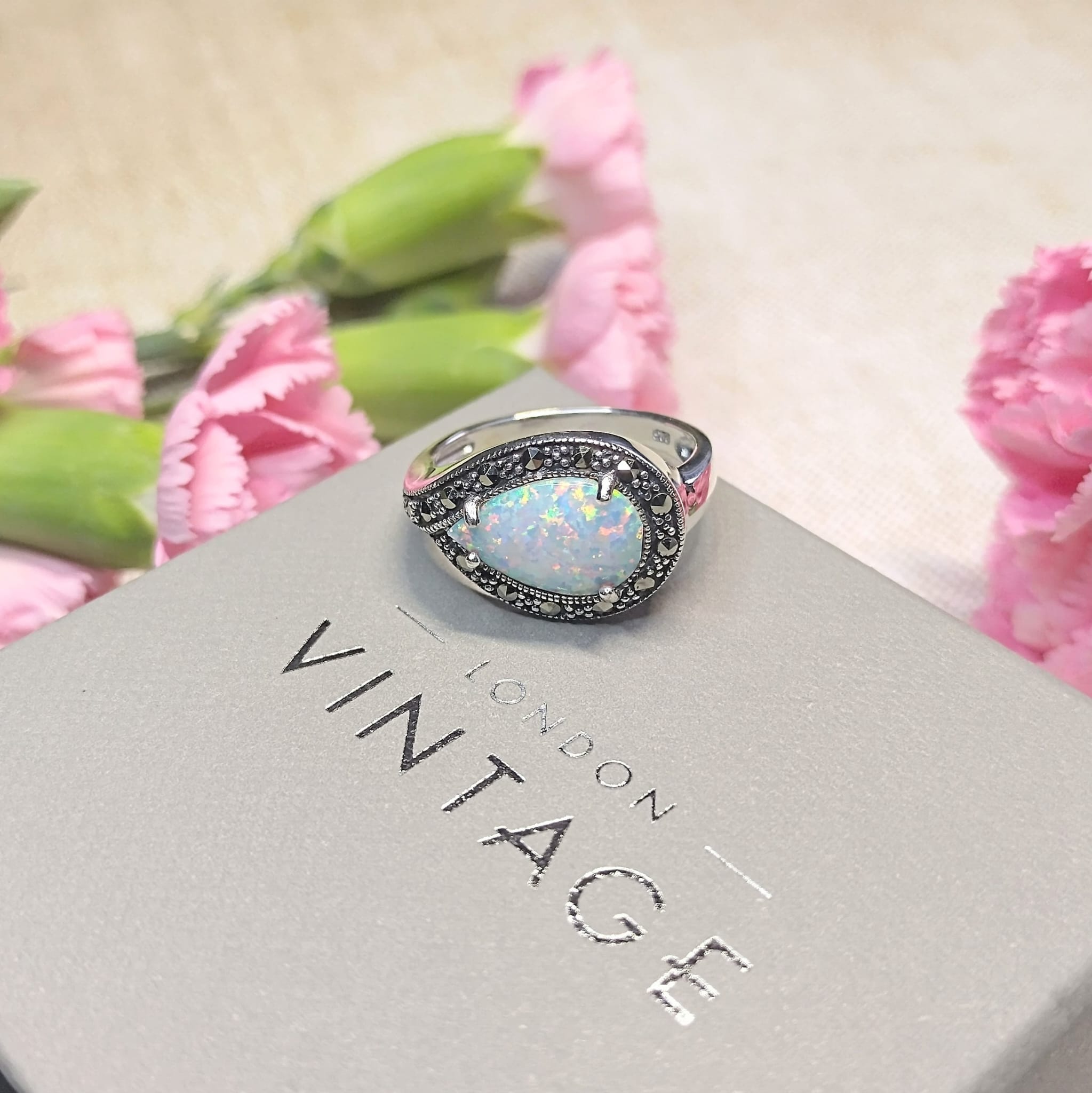 WhatsApp Image 2023 08 17 at 11.55.461