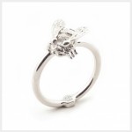 Ring by Bill Skinner