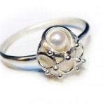 focus gallery zalisander1