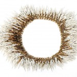 Beate Pfefferkorn goldenesvlies