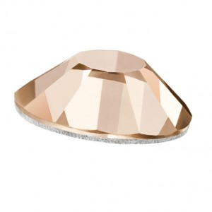 MC_Chaton_Rose_VIVA12_Light_Peach_art_43811612_full