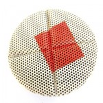 Artichoke Elizabeth Jane Campbell