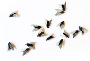 kath-libbert-jewellery-designer