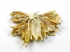 kath-libbert-jewellery-designer