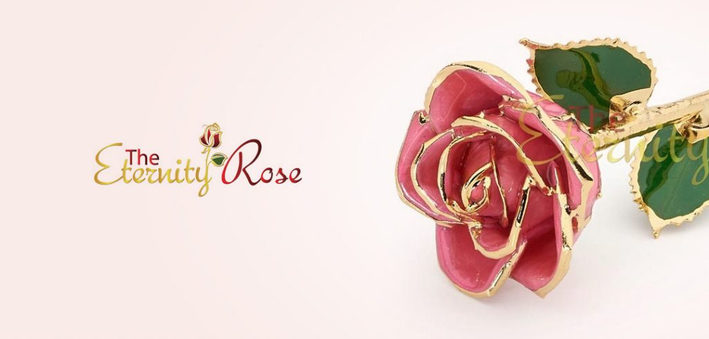 eternity rose